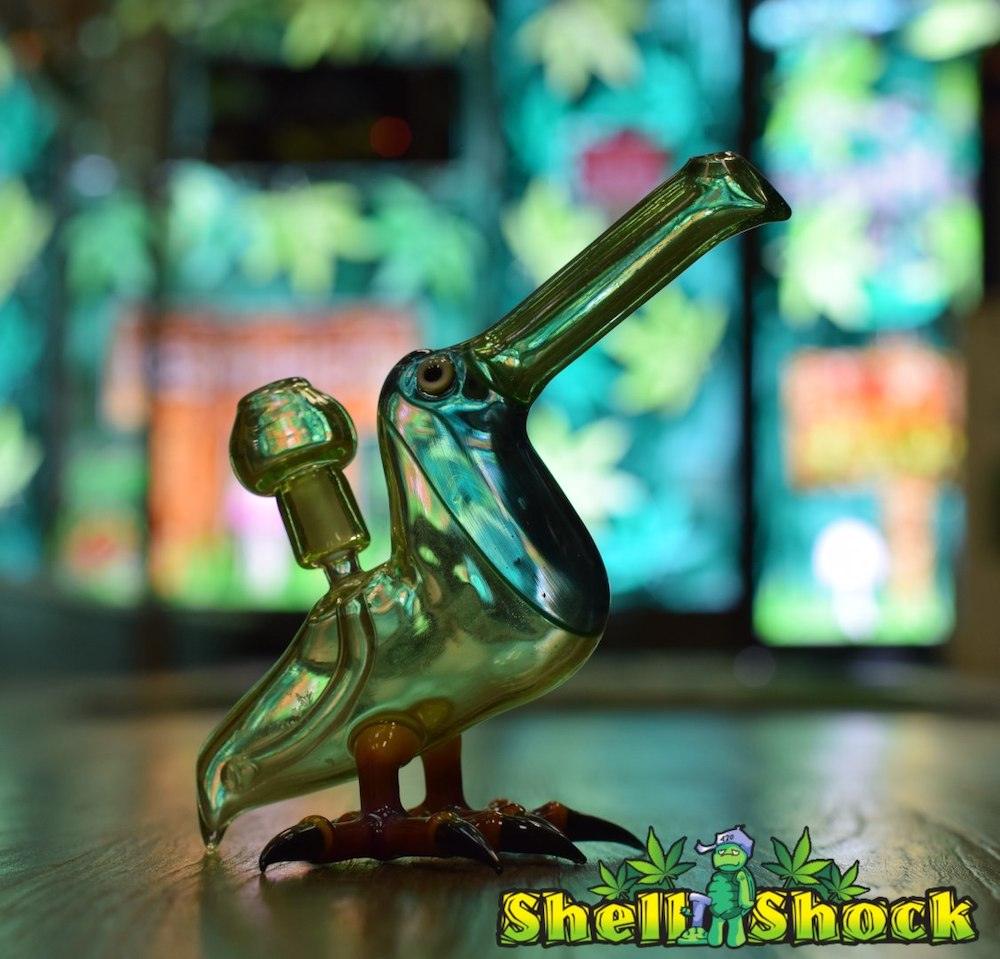 Burtoni-glass-toucan-heady-shell-shock